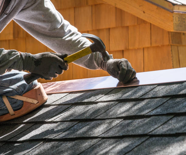 Best Flat Roof Repair Services  in St Paul Park, MN